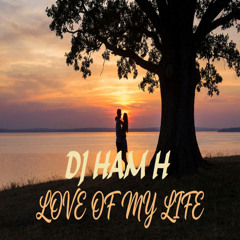 DJ HAM  H - Love Of My Life