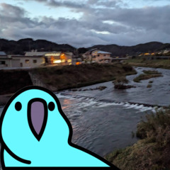 ナチュラルに恋してくれなさそうな曲