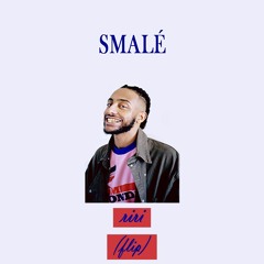 Aminé - Riri (smalé flip)