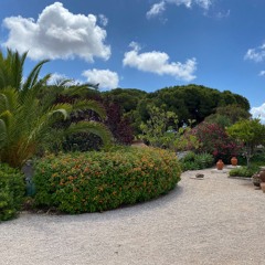 We Move as Fast as Storms Allow