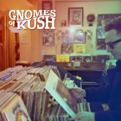 Gnomes of Kush - Stash Bag (Nick Woolfson Remix)
