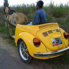 Seamus Moore  Pakistani Prayer