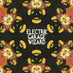 Electrik Garage Wizard