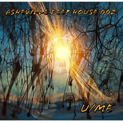 Asheville Deep House 002