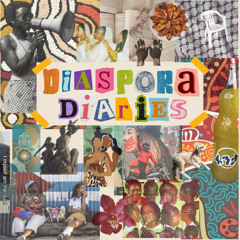 Diaspora Diaries Episode 2: Diasporic Consciousness
