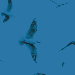 Kyrie / The Rain of Merciful Cloud (from 'REQUIEM')