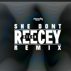 FREE DOWNLOAD! Moody - She Dont (ReeceyDixon Remix)