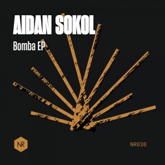 Aidan Sokol - How'd You Come Up With That?