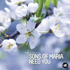 Need You (Radio Edit)