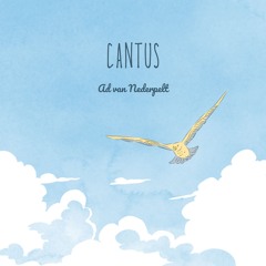 Cantus (composer, performer Ad van Nederpelt)
