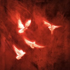 Anesthetic - evan pak