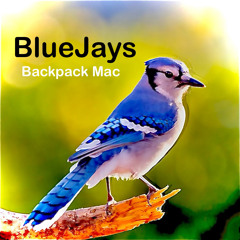 BlueJays.wav