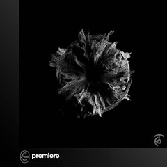 Premiere: Aaron Suiss, Kaliko Flow - My Favorite Things - Echoes Of Time