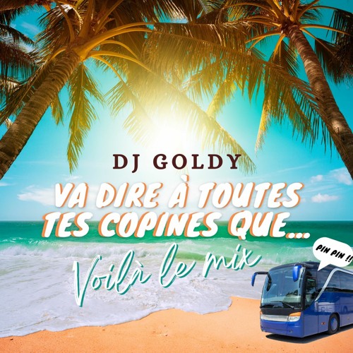 Dj Goldy - Va Dire À Toutes Tes Copines Que Voilà Le Mix(Pin Pin)