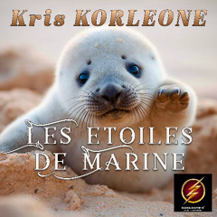 Les étoiles de Marine