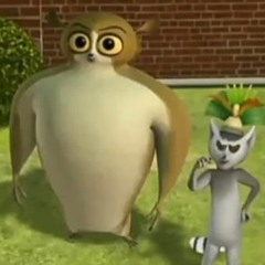 young leosia - szklanki vs ferr4ri