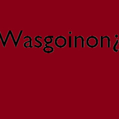 wasgoinon  // KarZy - Xaski - GinCali