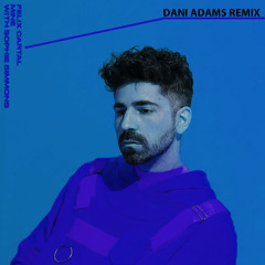 Felix Cartal - Mine (DANI ADAMS Remix)