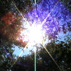 reborn (with daywatch)