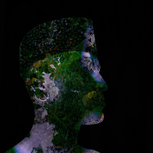 In The Womb Of The Gharial (Album Mix)