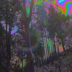 TriBe DistorSIon