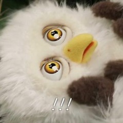 아니 벌써?