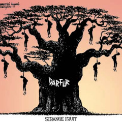 Strange Fruition Freestyle