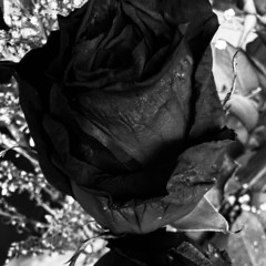 sorry xoxo - Invested [prod.@sorryxoxosos]