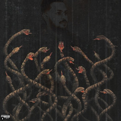 Snake - Cheema Y