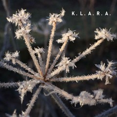 THE BREATH IN THE BONES