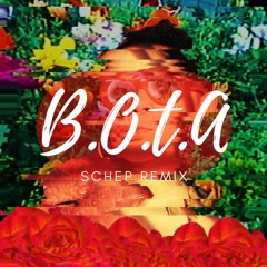Eliza Rose - B.O.T.A. (Baddest Of Them All) Schep Remix
