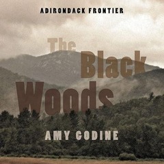 kindle👌 The Black Woods: Pursuing Racial Justice on the Adirondack Frontier