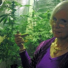 grandmas acid trip to the corner shop (hard/frenchcore mix)