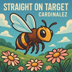 Straight On Target