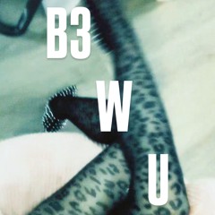 B3 W U
