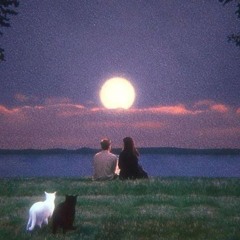 lost in love