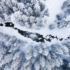 Winter Chill