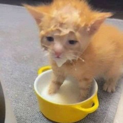 sweet trip - milk (cover).m4a