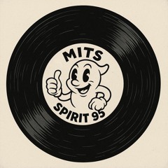 Spirit Of 95' (Original Mix)