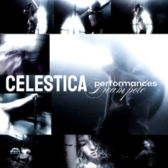 CELESTICA  perfomaces mix  28.11