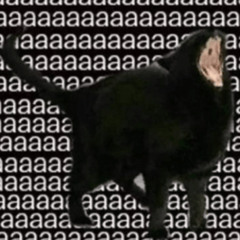 ⋆.˚✮ ‪‪❤︎‬ ≽ > ⩊ < ≼ ‪‪❤︎‬ ✮˚.⋆