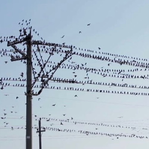 Sound Cloud Array 4
