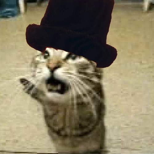 Virtual Insanity- Meowsynth Edition