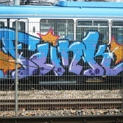 Racional Trem Brodah