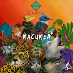 Brava - Macumba De Un Sol [Quinto Fuego]