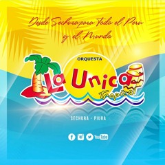 La Unica Tropical - Donde Te Has Metido