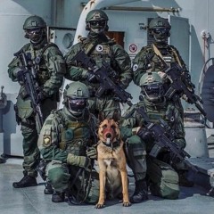 Cerberus k9 Solutions Inc.