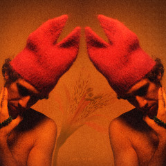 Selected by Amuse 💛