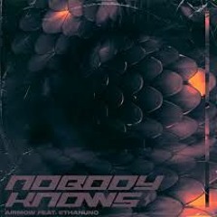 Nobody Knows (Jacob Vallen Remix)