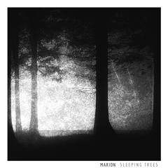 MARION - Sleeping Trees